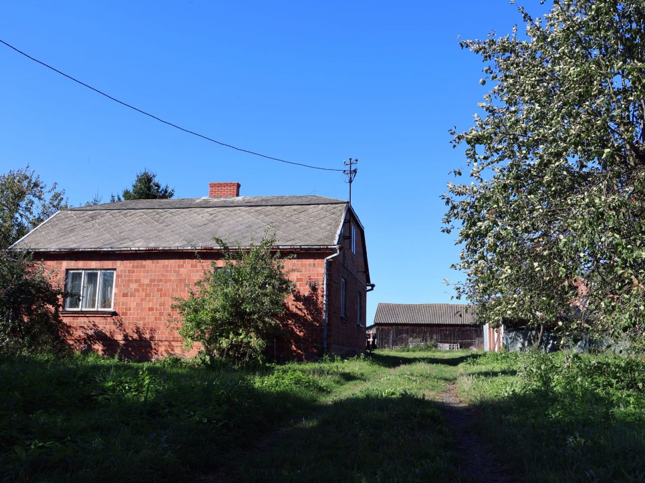 Działka rolno-budowlana Zosin. Zdjęcie 2