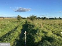 Działka budowlana Jeziorowskie. Zdjęcie 3