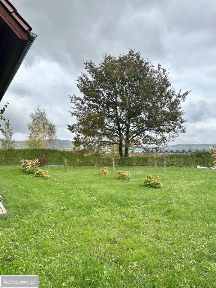 dom wolnostojący, 5 pokoi Jelenia Góra Cieplice Śląskie-Zdrój, ul. Dolnośląska. Zdjęcie 3