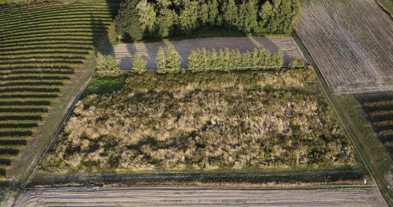 Działka inna Bronice-Kolonia. Zdjęcie 8