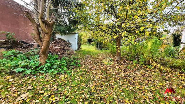 Działka rod Włocławek Zawiśle . Zdjęcie 4