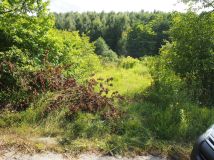 Działka rekreacyjna Śladów. Zdjęcie 2