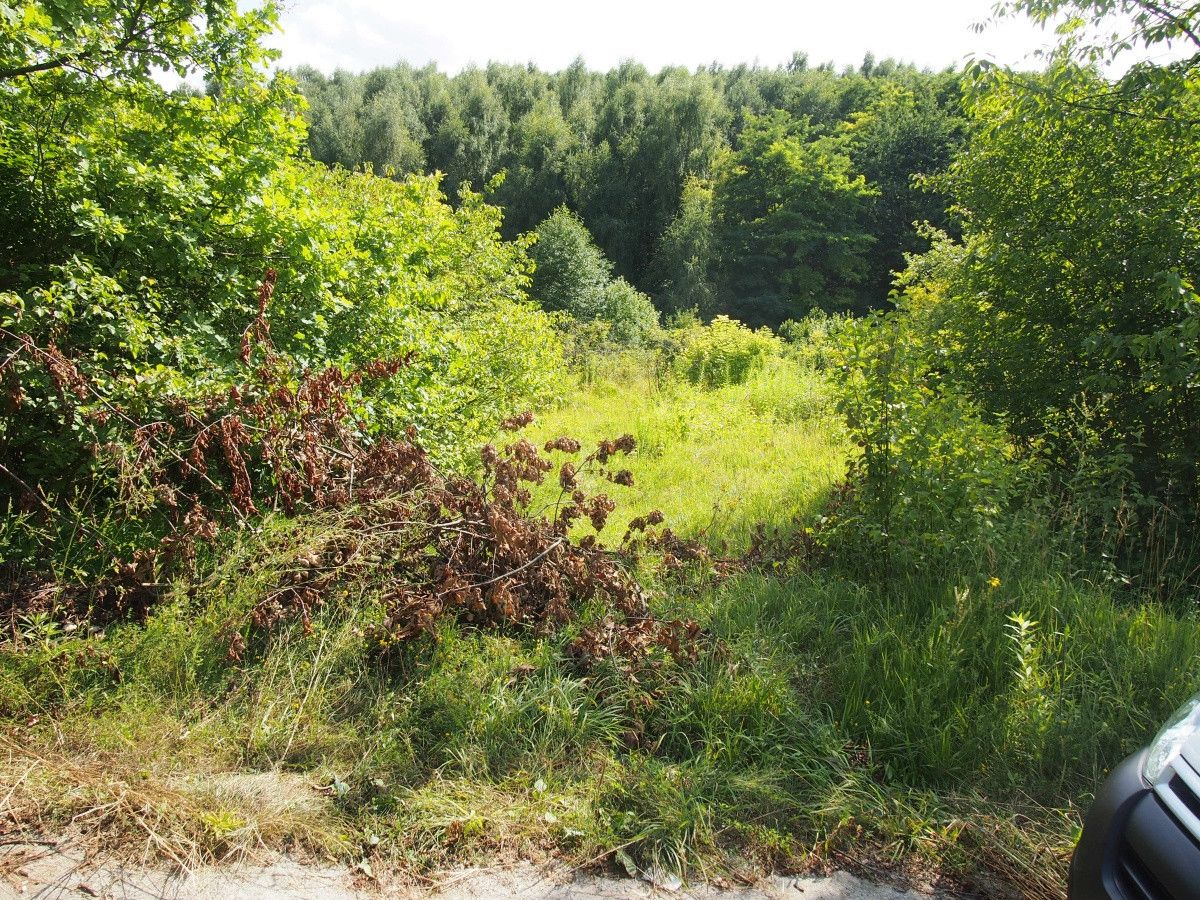 Działka rekreacyjna Śladów. Zdjęcie 3