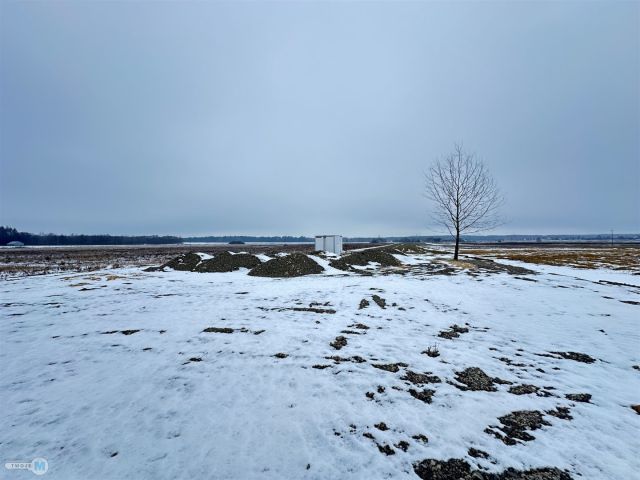 Działka rolno-budowlana Celiny. Zdjęcie 4