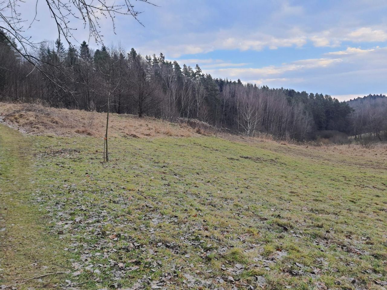 Działka budowlana Bratkówka Wólka. Zdjęcie 1