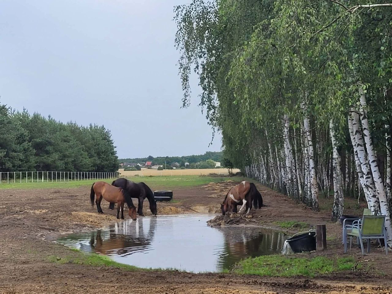 dom wolnostojący, 5 pokoi Chylin. Zdjęcie 11