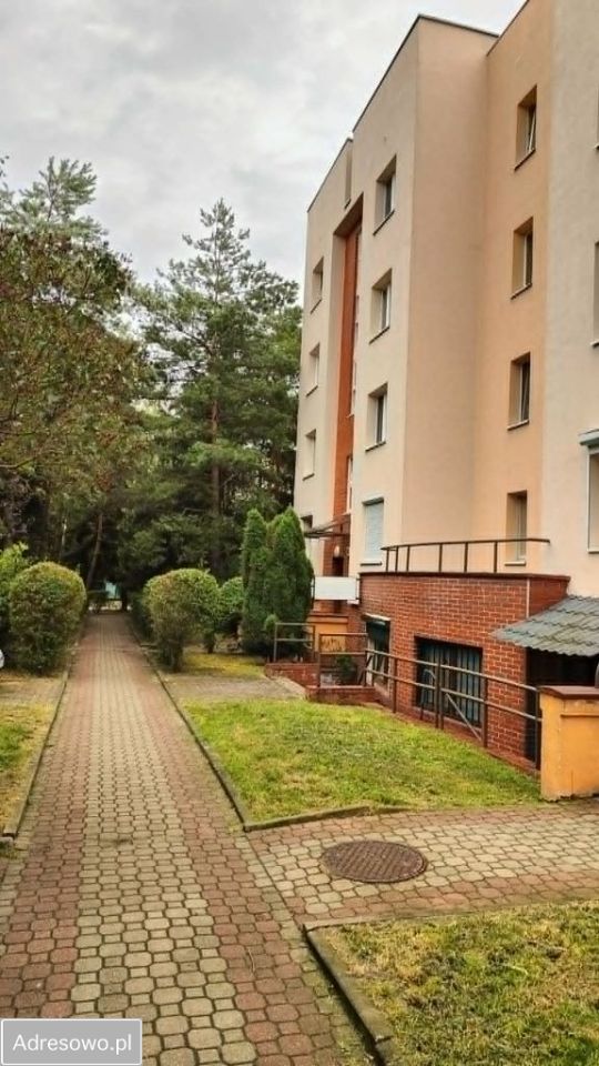 Lokal Łódź Polesie. Zdjęcie 16