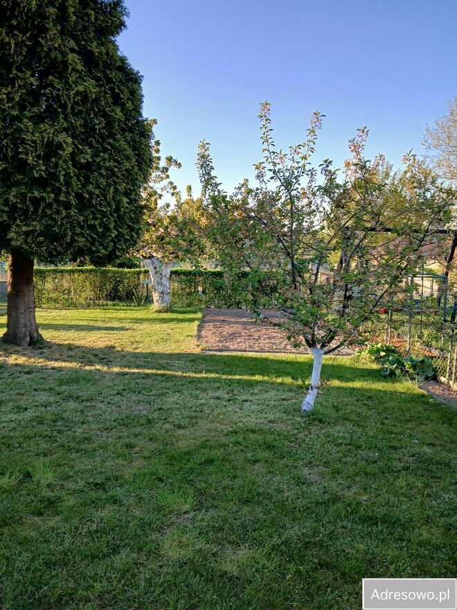 Działka rod Szczecin Skolwin. Zdjęcie 6