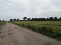 Działka rolno-budowlana Występ. Zdjęcie 4