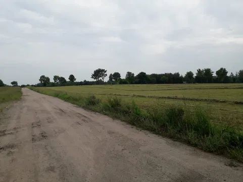 Działka rolno-budowlana Występ. Zdjęcie 5