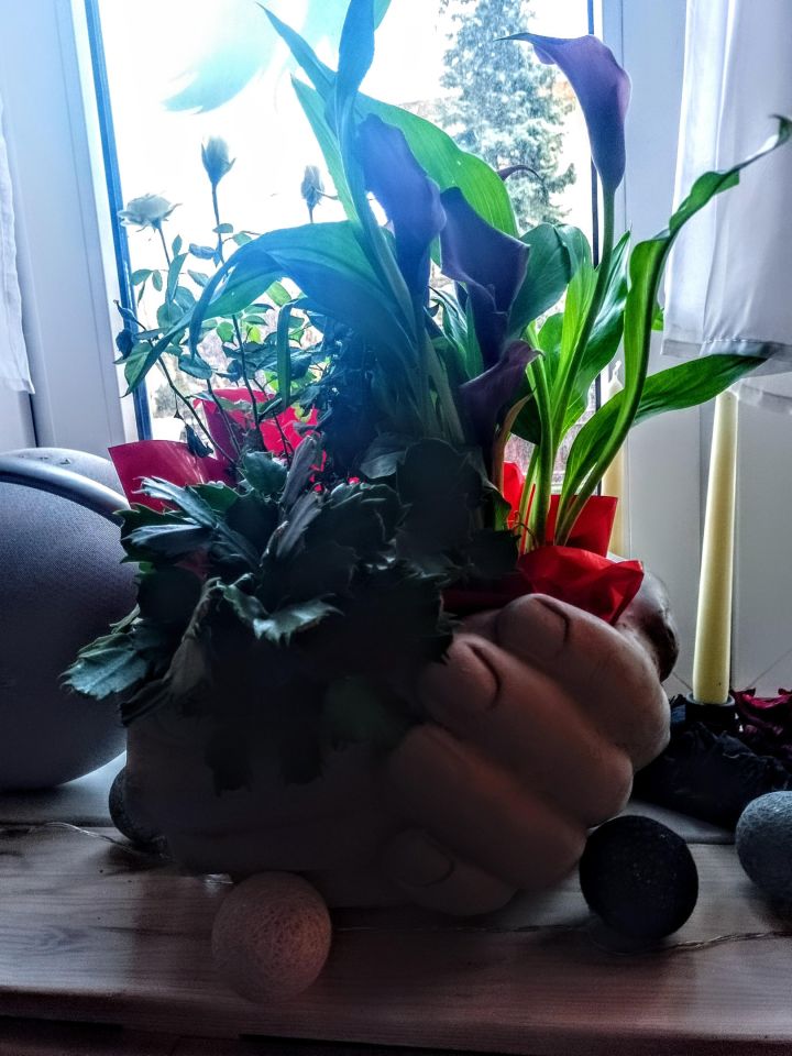 Nieruchomość komercyjna Tarnów Śródmieście, ul. Witolda Rogoyskiego. Zdjęcie 11