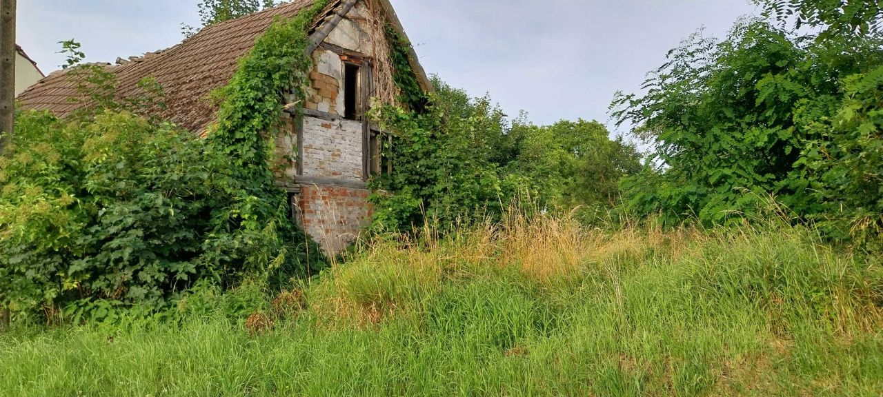 Działka rolno-budowlana Zaborsko