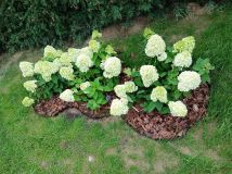 Działka rod Stefanowo, ul. Ułanów. Zdjęcie 1