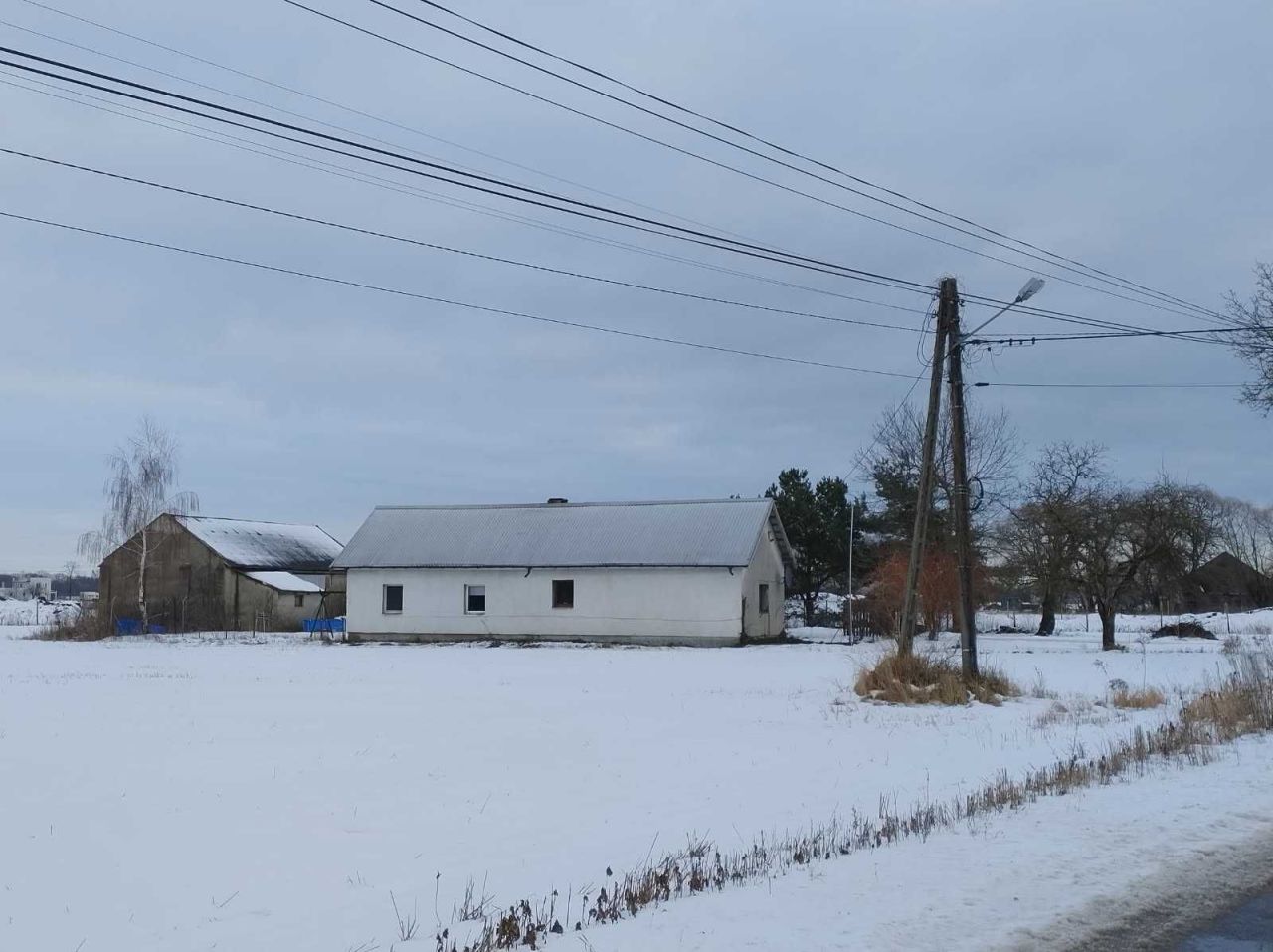 siedlisko Kraśnicza Wola. Zdjęcie 1