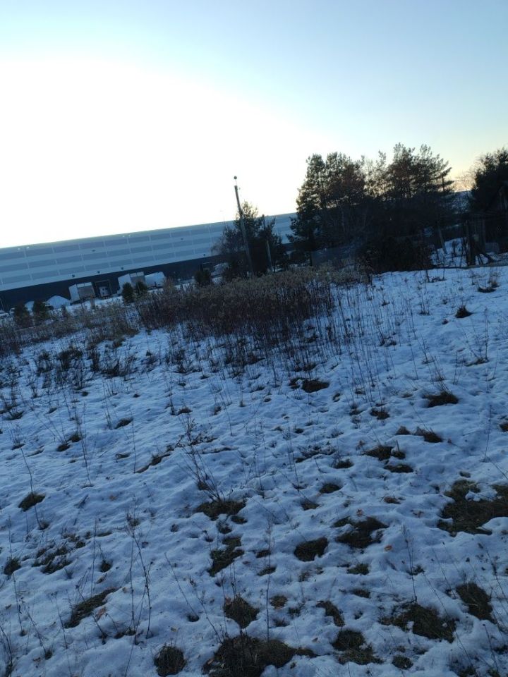 Działka budowlana Baniocha. Zdjęcie 6