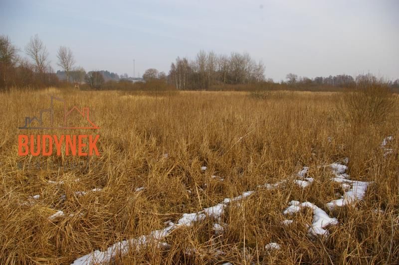 Działka rolna Malechowo. Zdjęcie 7