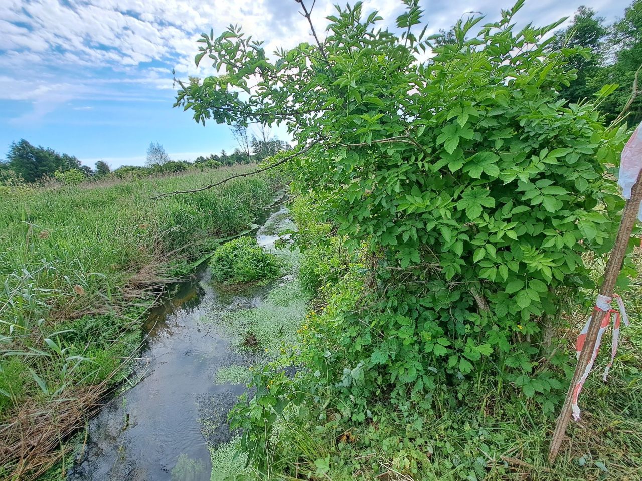 Działka budowlana Helenów. Zdjęcie 6