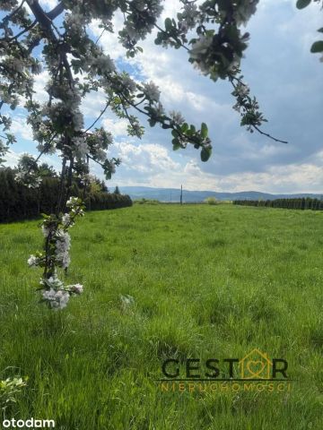 Działka budowlana Mościsko, ul. Polna. Zdjęcie 1