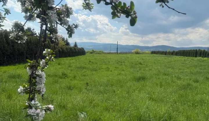 Działka budowlana Mościsko, ul. Polna