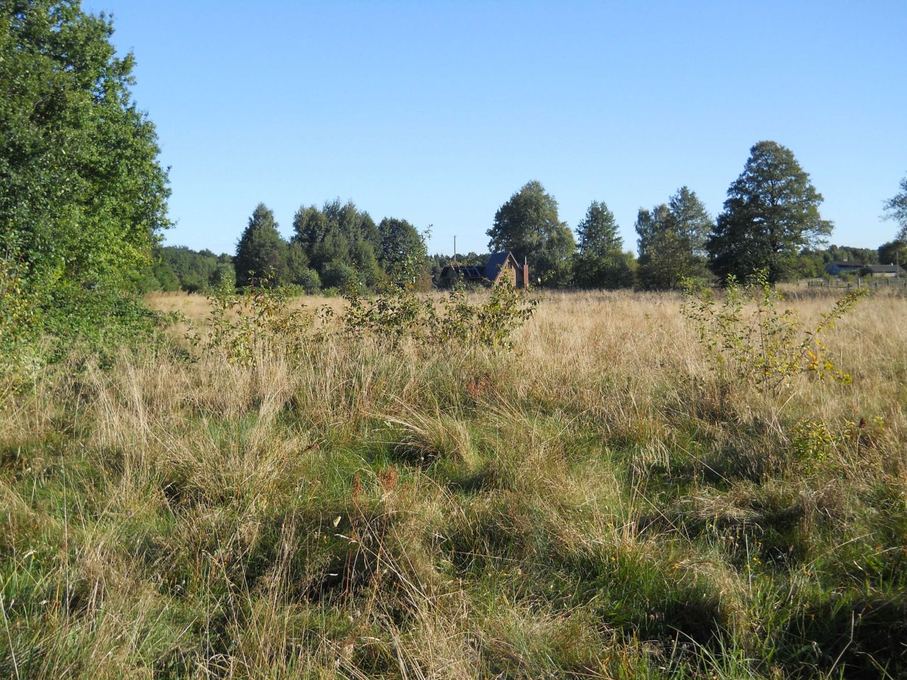 Działka budowlana Sokule. Zdjęcie 6