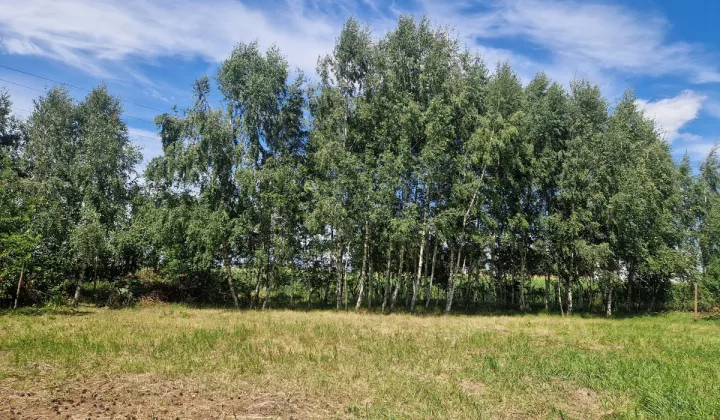 Działka budowlana Poznań Spławie, ul. Chrzanowska