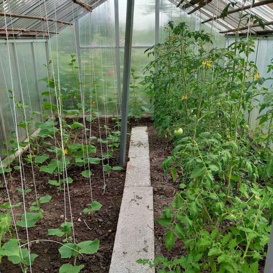 Działka rod Pyskowice. Zdjęcie 3