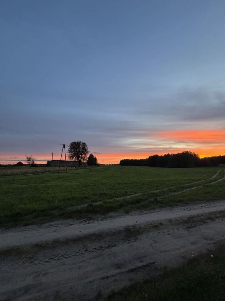 Działka rolno-budowlana Biechówko. Zdjęcie 2