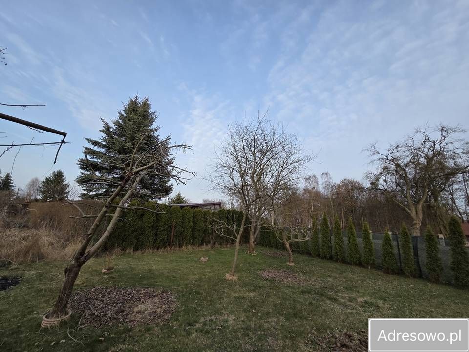 Działka rod Przasnysz. Zdjęcie 7
