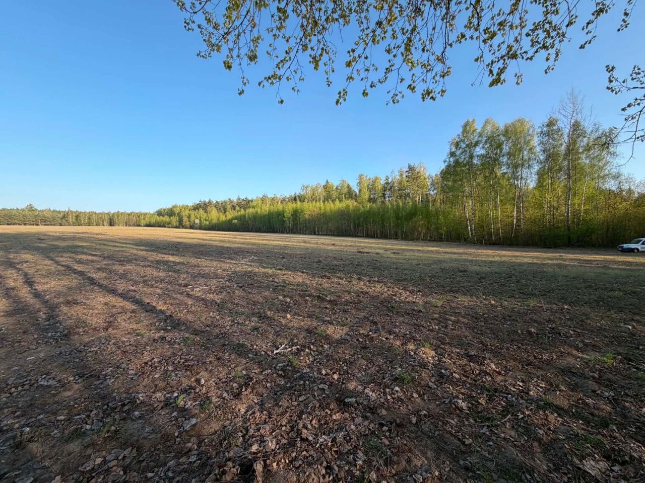 Działka rolno-budowlana Kubice. Zdjęcie 6