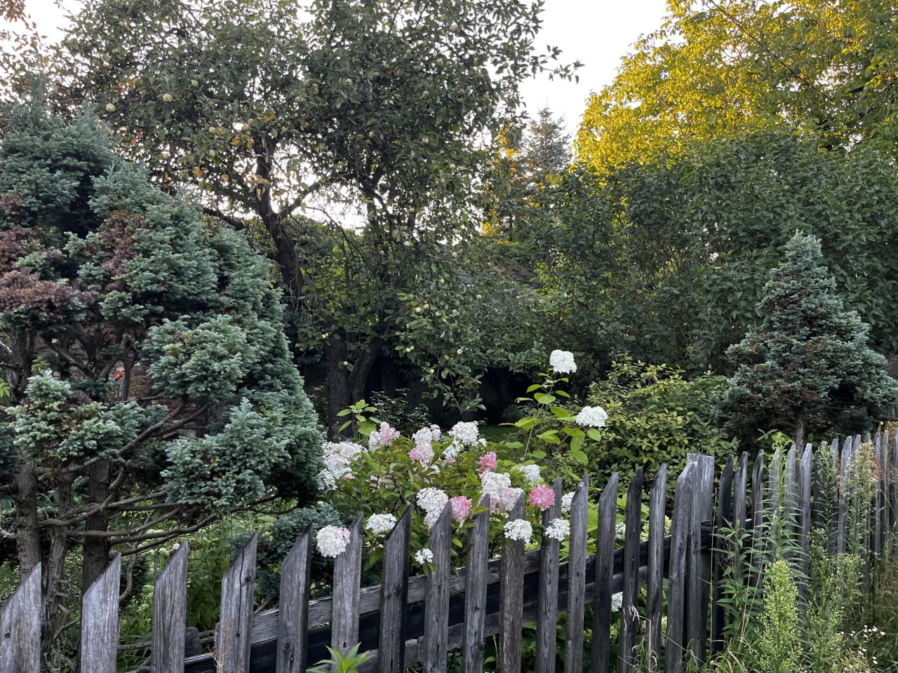 Działka budowlana Hajnówka Dolne, ul. Południowa. Zdjęcie 11