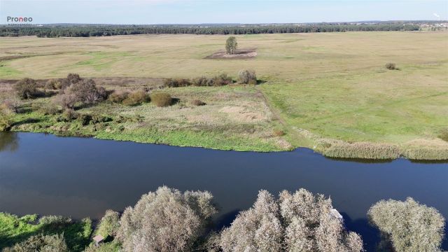 Działka rolna Rumin. Zdjęcie 17