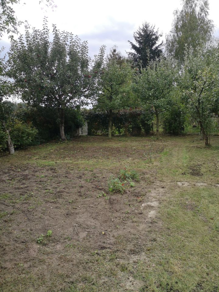 Działka rod Przasnysz, ul. Oszkobłok. Zdjęcie 3