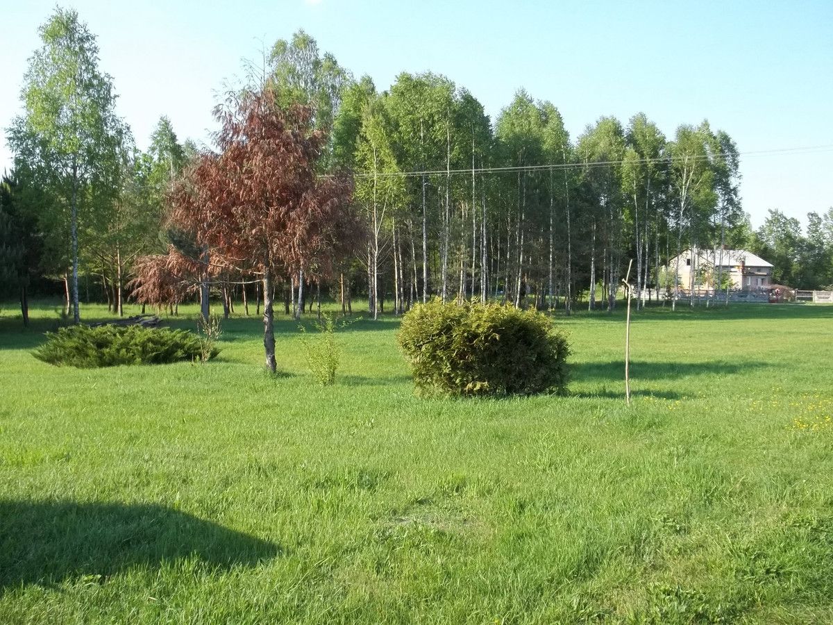 Działka rekreacyjna Budy Grabskie. Zdjęcie 3