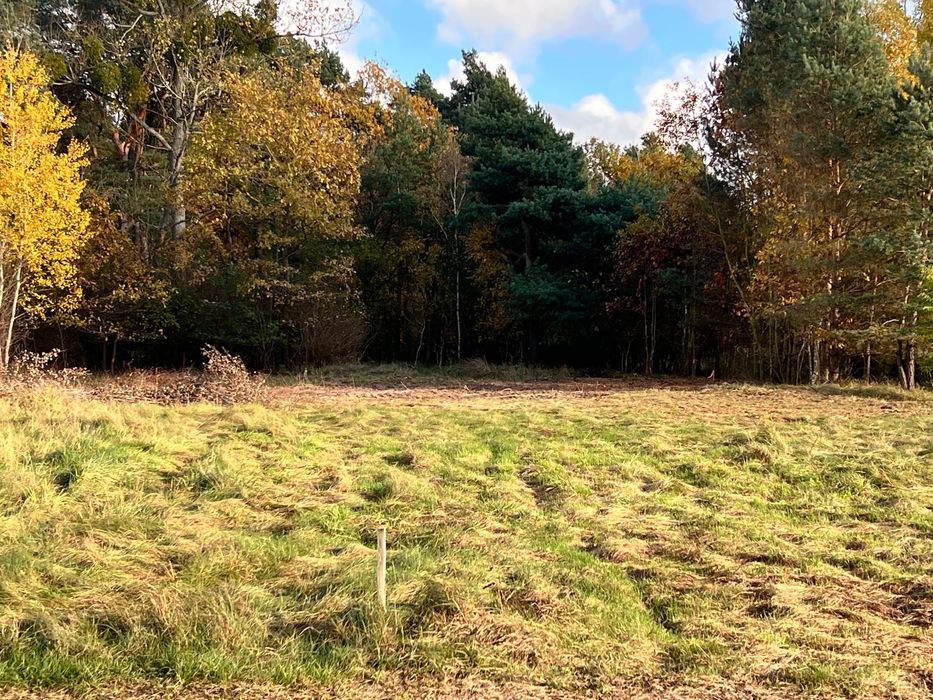 Działka budowlana Rynarzewo. Zdjęcie 2