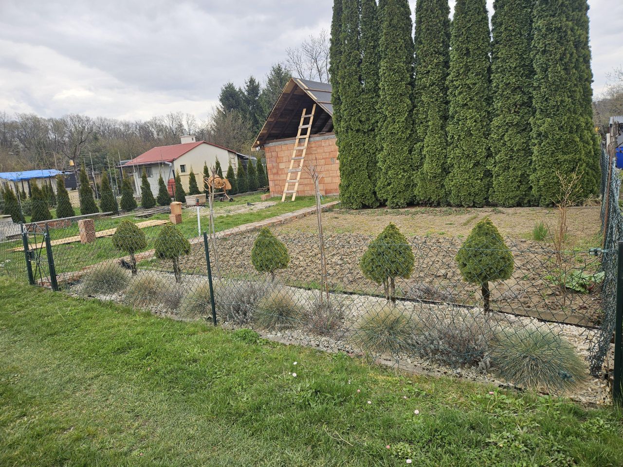 Działka rod Tarnobrzeg Wymysłów, ul. Modrzewiowa. Zdjęcie 2