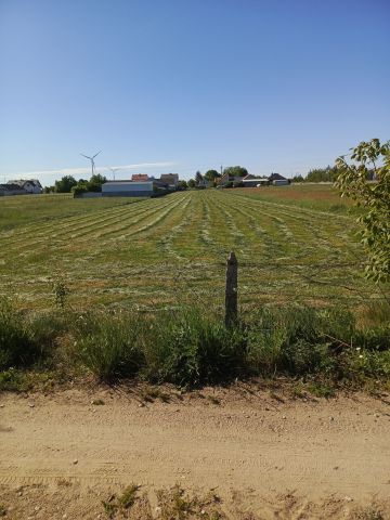 Działka budowlana Zielona. Zdjęcie 1