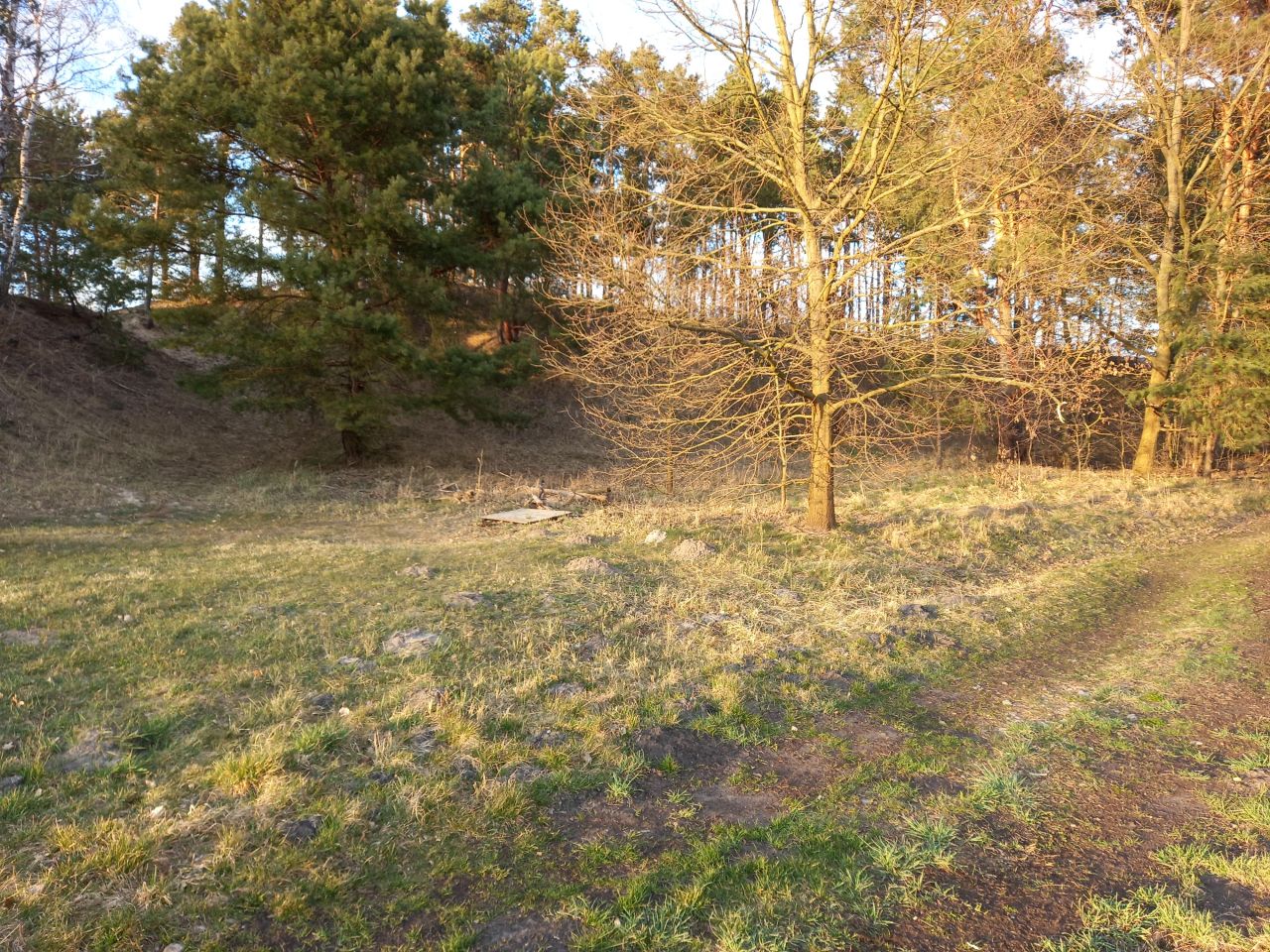 Działka budowlana Występ, ul. Rybacka. Zdjęcie 8