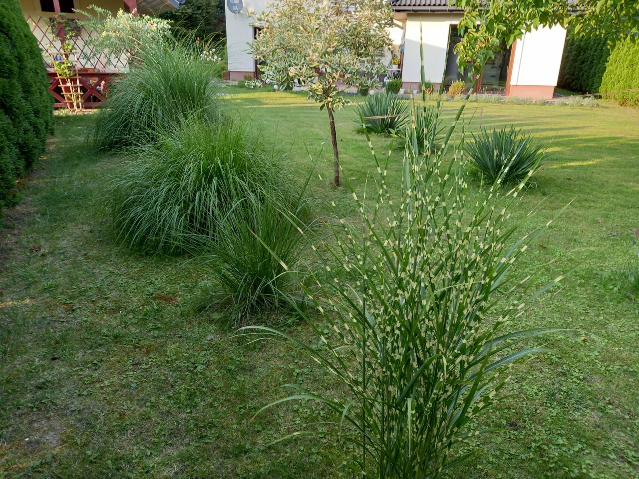 dom wolnostojący, 5 pokoi Gorlice Zawodzie. Zdjęcie 42