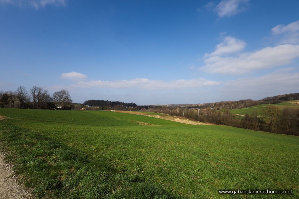 Działka budowlana Zwiernik. Zdjęcie 12
