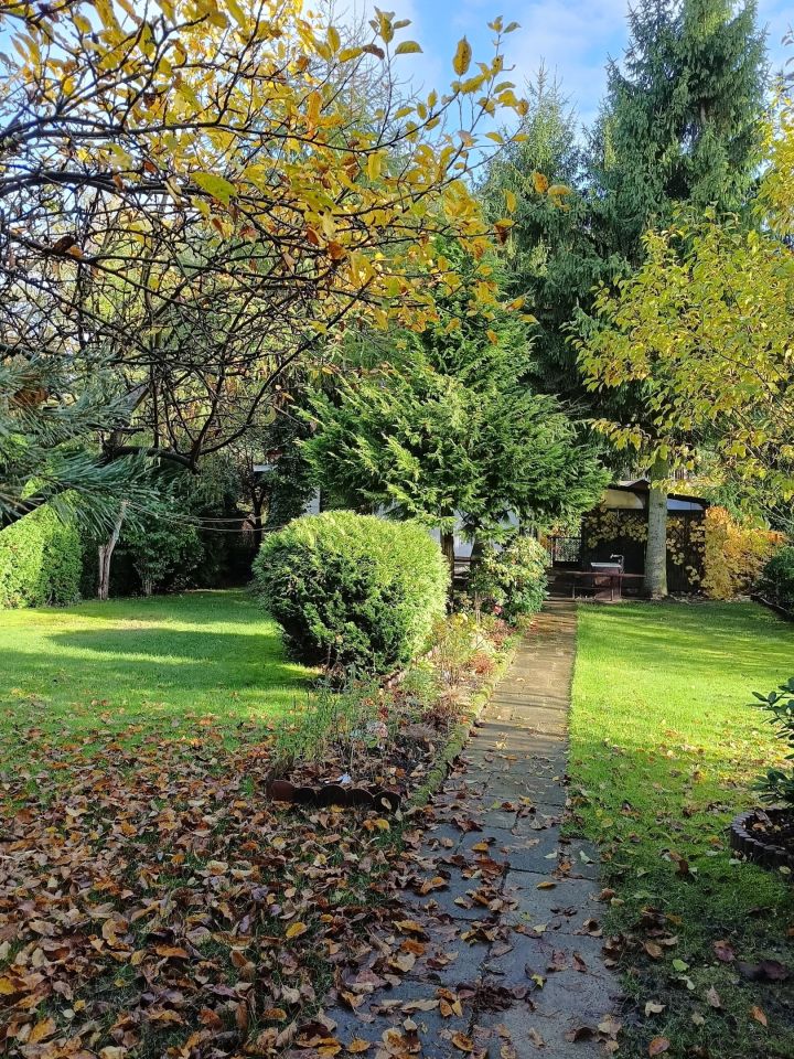 Działka rod Romanów, Romanów 18A. Zdjęcie 5