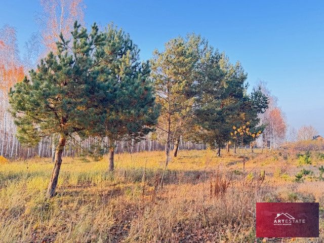 Działka budowlana Nowomłyny. Zdjęcie 3