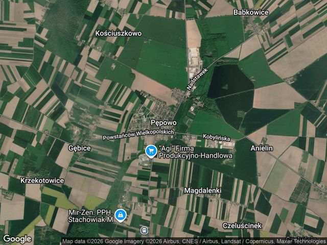dom wolnostojący, 5 pokoi Pępowo, Pępowo. Zdjęcie 1