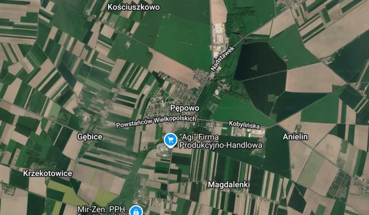 dom wolnostojący, 5 pokoi Pępowo, Pępowo