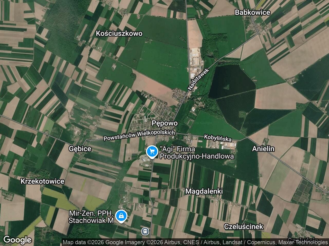 dom wolnostojący, 5 pokoi Pępowo, Pępowo. Zdjęcie 1