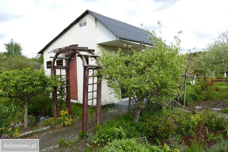 Działka rekreacyjna Zielona Góra Jędrzychów, ul. Dożynkowa. Zdjęcie 1