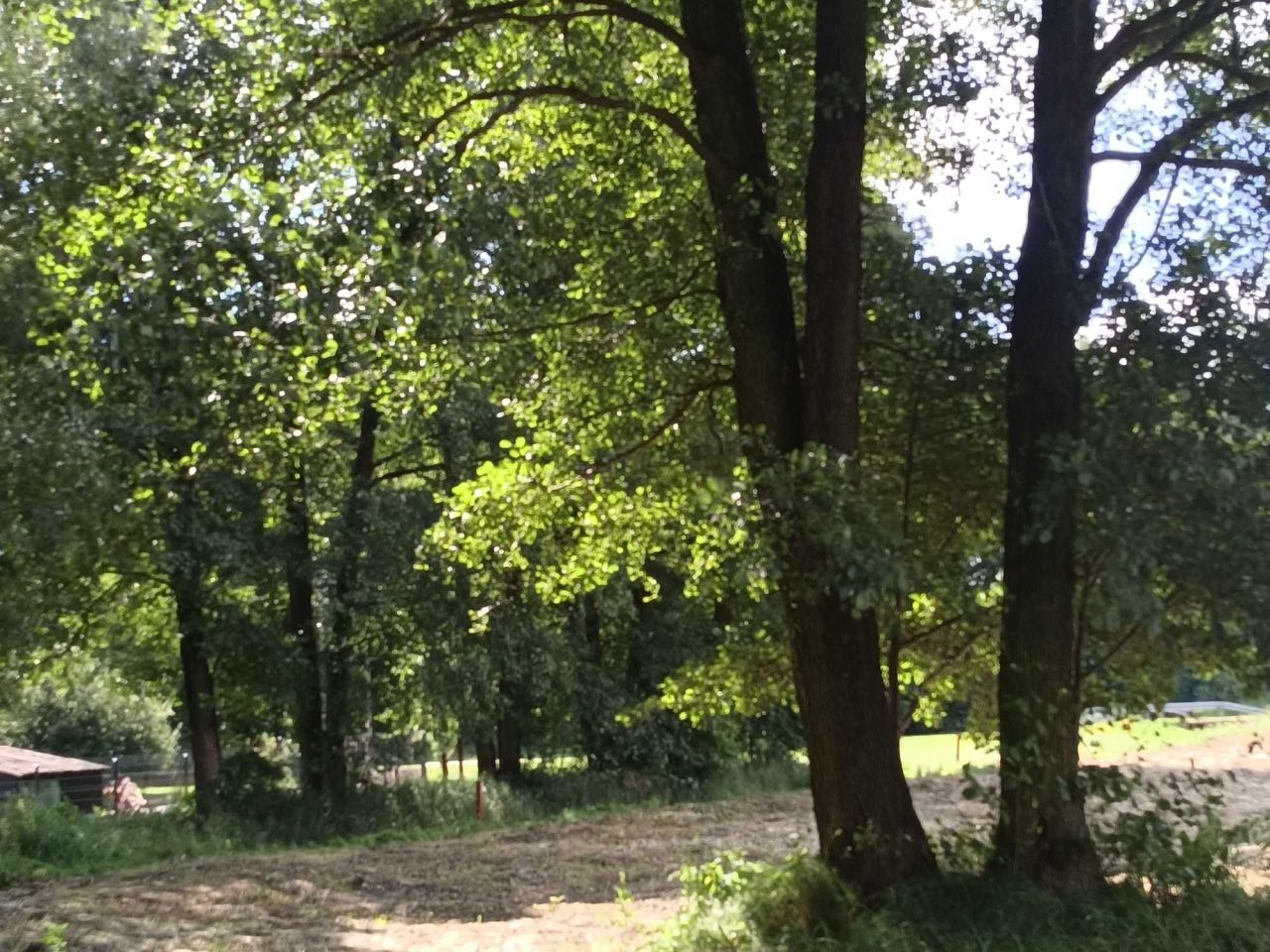 Działka rolna Rybnik. Zdjęcie 8