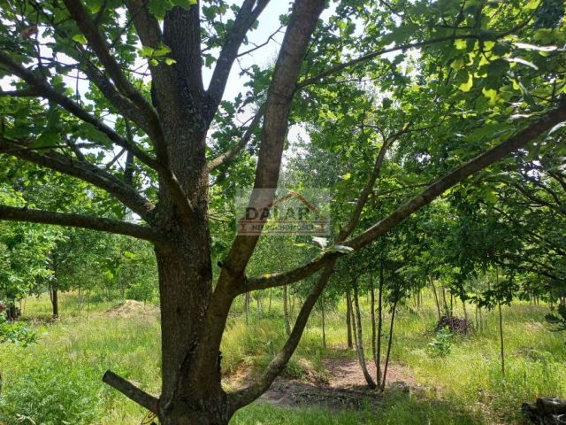 Działka budowlana Kozłów. Zdjęcie 1