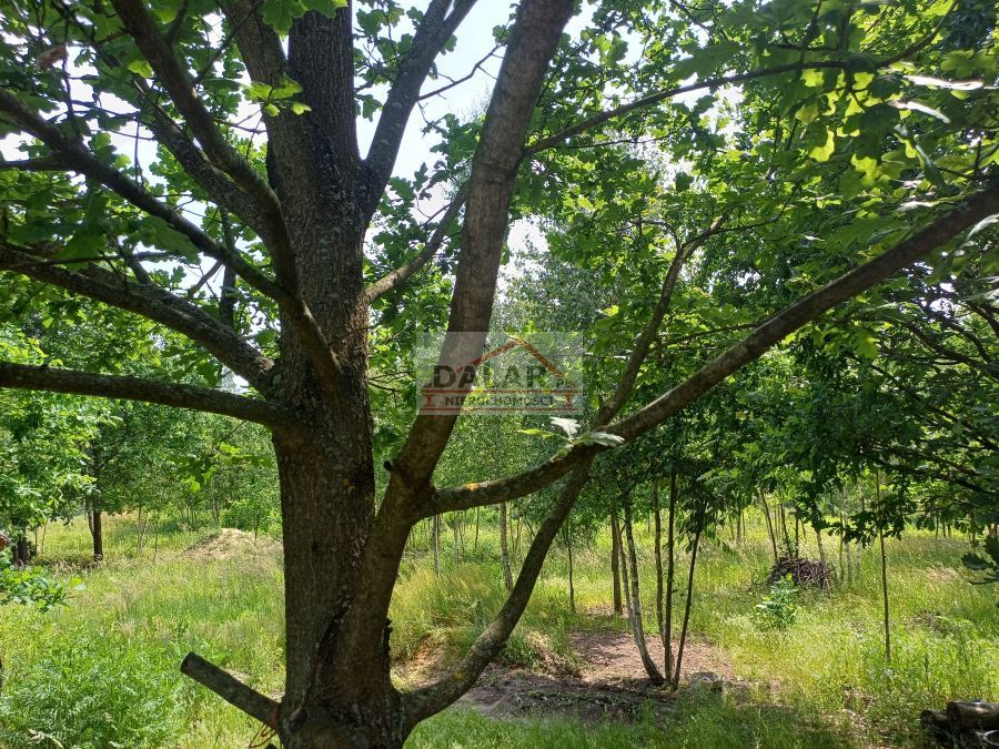 Działka budowlana Kozłów