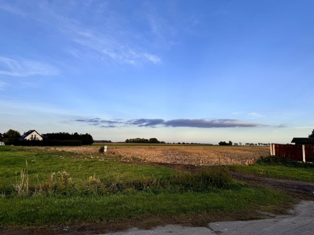 Działka budowlana Milejowice. Zdjęcie 1