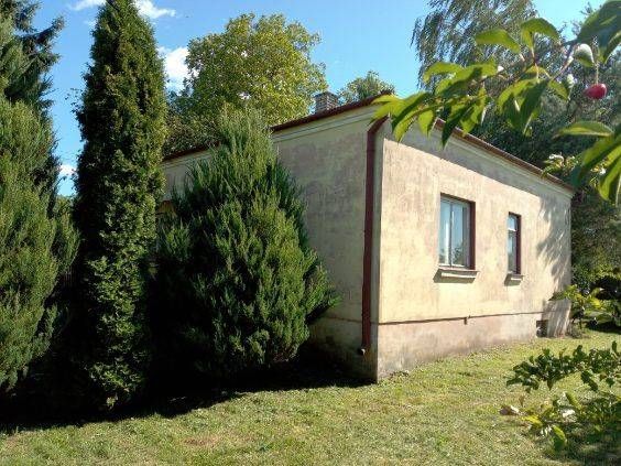 Działka siedliskowa Żabcze. Zdjęcie 1